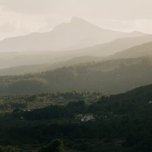 Turismo y Experiencias