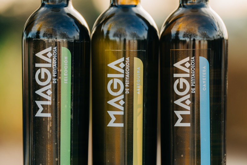 Aceites Magia de Penyagolosa premiados en la Guía IberOleum 2026 – botellas Selección y Canetera sobre fondo de paisaje del Maestrat
